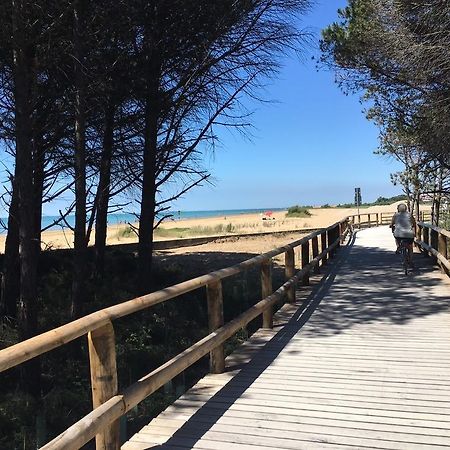 Appartamenti Narcisi Bibione Exteriör bild